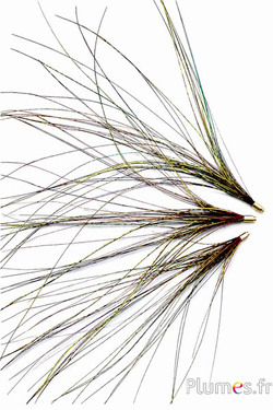 Anhänger Pfauenfaden - 15-28 cm - aztekengold-naturgrün